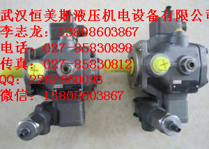 RQ4M6-D/M1/51/V力士樂代理商